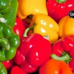 Τι θρεπτικά συστατικά μας προσφέρουν οι πολύχρωμες πιπεριές
