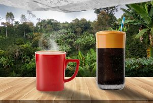 Στιγμιαίος καφές : από το δέντρο μέχρι την κούπα
