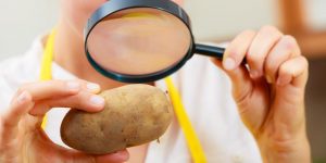 Τα διατροφικά χαρακτηριστικά της πατάτας
