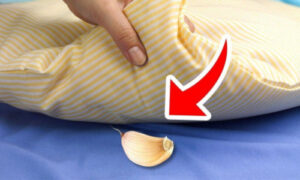 Γιατί οι αιωνόβιοι βάζουν ένα σκόρδο κάτω από το μαξιλάρι τους;