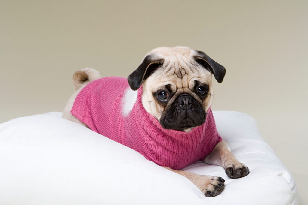 Δώδεκα Απίθανα Κόλπα για Καθαρότερα Αποτελέσματα