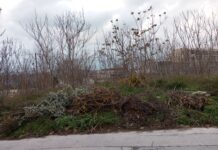 Νέο νομοσχέδιο «Ενεργή Μάχη»: Πρόστιμα έως 2.000 ευρώ για ακαθάριστα οικόπεδα και νέες προθεσμίες