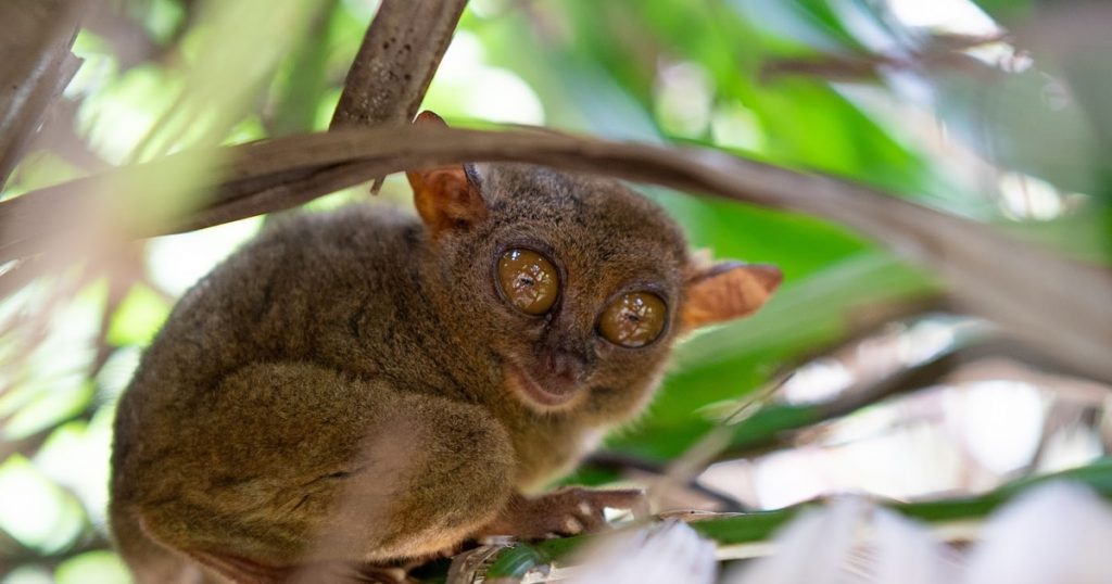 Πέντε κατηγορίες σχέσεων που πρέπει να αποφεύγουμε