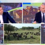 Λέσβος: Επιβεβαιώθηκε κρούσμα αφθώδους πυρετού – Σε καραντίνα όλο το νησί