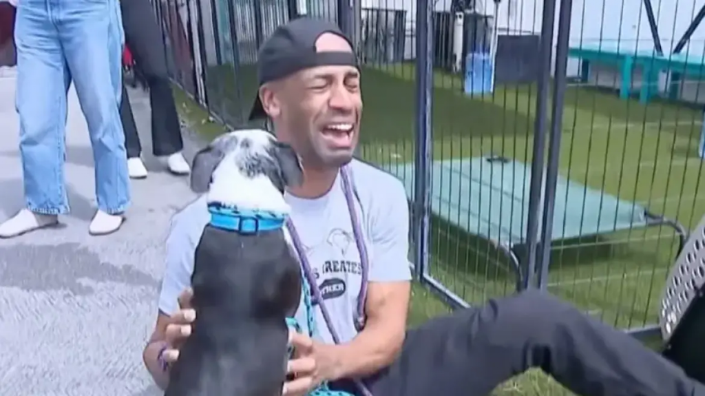 Συγκινητικό βίντεο: Βρήκε τον σκύλο του τρία χρόνια αφού τον είχαν κλέψει στο Λος Άντζελες και ξέσπασε σε λυγμούς