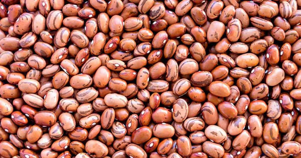 Διαλύοντας 10 Κοινούς Μύθους για τις Τροφές: Αλήθειες που Πρέπει να Ξέρετε