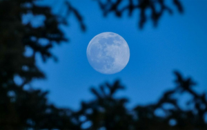 Οι επιπτώσεις της σπάνιας Πανσελήνου Blue Moon στα ζώδια