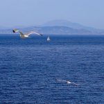 Ημερήσιες Ζωδιακές Προβλέψεις: Οι Οδηγίες για το Σάββατο 30 Μαϊου 2026