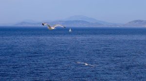 Ημερήσιες Ζωδιακές Προβλέψεις: Οι Οδηγίες για το Σάββατο 30 Μαϊου 2026