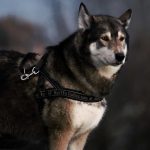 Το ζώδιο που έχει το πιο άδικο τέλος στις σχέσεις