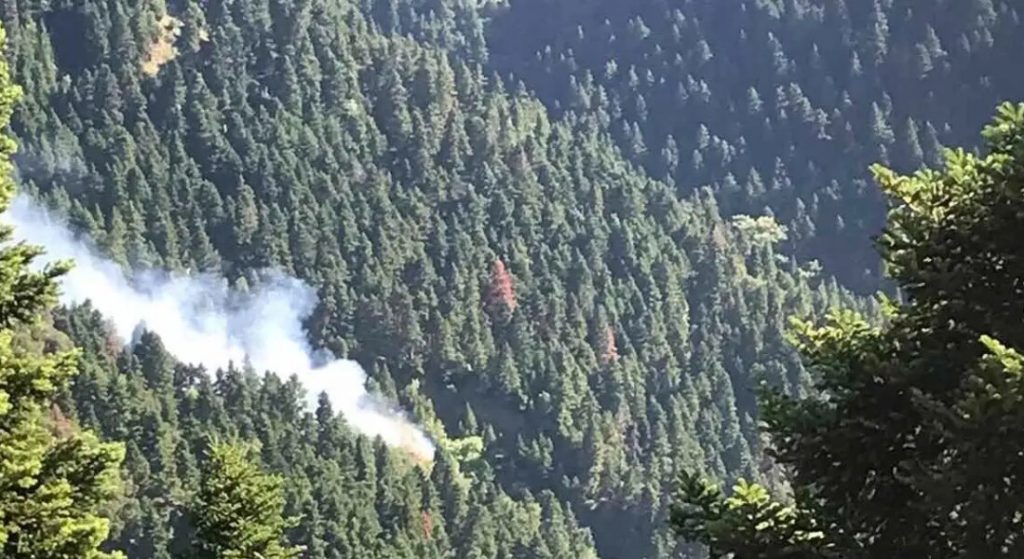 Φωτιά στα Κρυονέρια Ναυπακτίας: Σηκώθηκαν 4 εναέρια μέσα