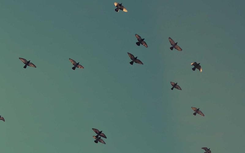 4 τύποι ανθρώπων που πρέπει να αποφεύγεις με βάση το ζώδιό τους