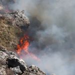 Ρέθυμνο: Οι φλόγες «άγγιξαν» το φοινικόδασος της Πρέβελης – Καλύτερη η εικόνα της μεγάλης φωτιάς