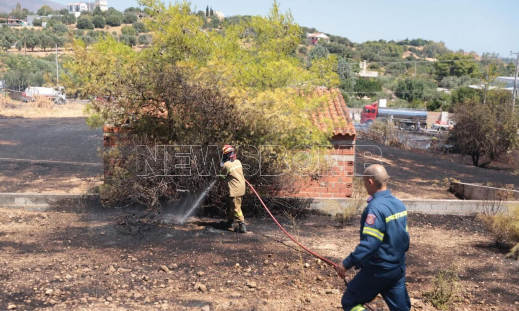 Χωρίς ενεργό μέτωπο η φωτιά στην Αργιθέα, σε επιφυλακή οι δυνάμεις
