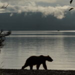 Το ζώδιο που θα σας εκπλήξει με την τύχη του και τα άλλα δύο που ακολουθούν τις επόμενες μέρες