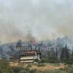 Συναγερμός στην Πελασγία Φθιώτιδας: Πέντε εναέρια μέσα στη μάχη με τις φλόγες
