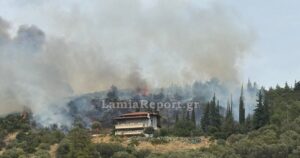 Συναγερμός στην Πελασγία Φθιώτιδας: Πέντε εναέρια μέσα στη μάχη με τις φλόγες