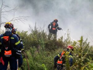 Τραγωδία στον Νέο Κουβαρά: Σορός εντοπίστηκε στο αυτοκίνητο από όπου ξεκίνησε η φωτιά