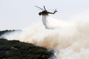 Συναγερμός στο Αγιόφυλλο Τρικάλων: Με επίγειες και εναέριες δυνάμεις η μάχη με τις φλόγες
