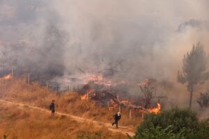Δύο φωτιές στην Ηλεία και συναγερμός για πολύ υψηλό κίνδυνο πυρκαγιάς